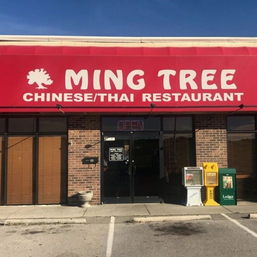 ming tree